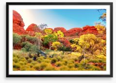The colours of the Outback Framed Art Print 82696059