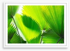 Green palm fronds Framed Art Print 83096272