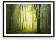 Forests Framed Art Print 83105381