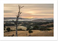 Dawn in the Goulburn River valley Art Print 83242165