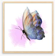 Aquarelle butterfly