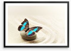 Prepona Laerte on the sand Framed Art Print 83981295