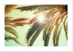 Sunlight through the palm fronds Art Print 84515950
