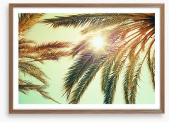 Sunlight through the palm fronds Framed Art Print 84515950
