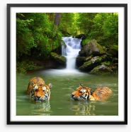 The tigers and the waterfall Framed Art Print 85029735