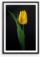 The golden tulip Framed Art Print 85683201