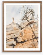Klipspringer cliff Framed Art Print 86815564