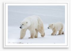 Arctic amble Framed Art Print 87094383