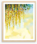 Wisteria sunlight Framed Art Print 87650516