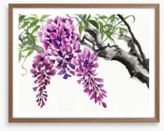 Wisteria blossom Framed Art Print 88145254