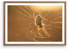 Insects Framed Art Print 88944589