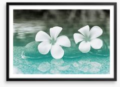 Purity blooms Framed Art Print 89618204