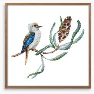 Little kookaburra Framed Art Print 90177614