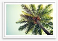 Coconut palm Framed Art Print 90191957