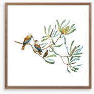 Kookaburra grove Framed Art Print 92329631