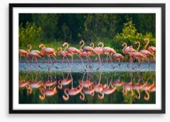 Flamingo run Framed Art Print 92614881