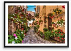 Floral alley in Umbria