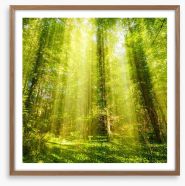 Forests Framed Art Print 93146205