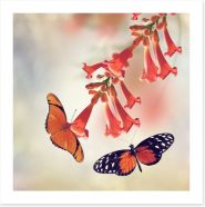 Butterflies Art Print 93576504