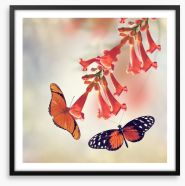 Butterflies Framed Art Print 93576504