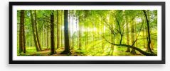 Green beams panorama Framed Art Print 93868389