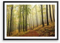Forests Framed Art Print 94198361