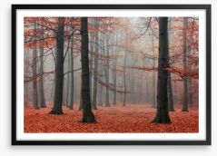 Forests Framed Art Print 96004080