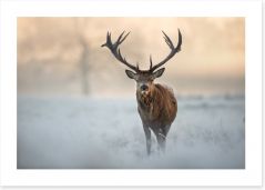 Red deer in winter Art Print 97451015