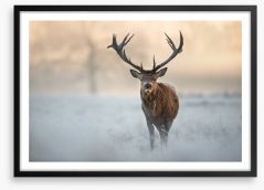 Red deer in winter Framed Art Print 97451015