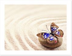 Beautiful butterfly on the sand Art Print 98318986