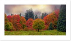 Autumn Art Print 98805038