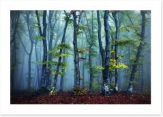 Forests Art Print 99226427