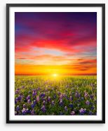 Wildflower meadow sunset Framed Art Print 99521835