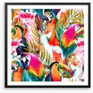 Parrots and cockatoo Framed Art Print 99872538