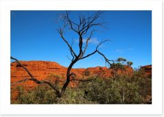 Outback Art Print 99994750