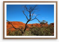 Kings Canyon contrasts Framed Art Print 99994750