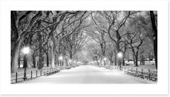 Snowy Central Park panoramic Art Print WAP0583