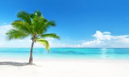 One palm beach