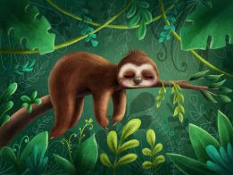 Sleepy the sloth