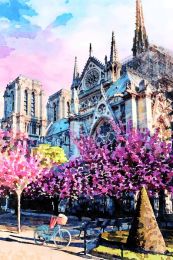Notre Dame sunlight